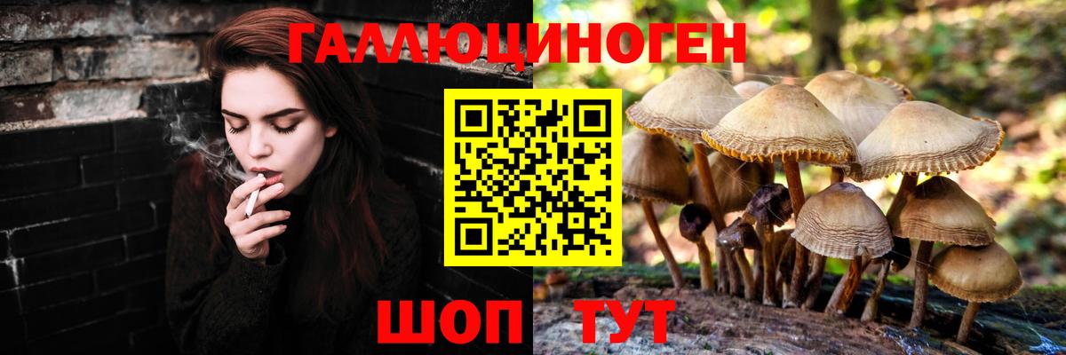 Галлюциногенные грибы Magic Shrooms Ноябрьск